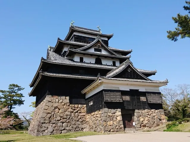 松江城の石垣と並木